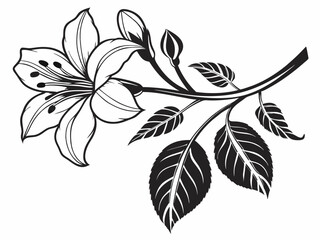 Elegant Blooming Flower for Graphic Use
