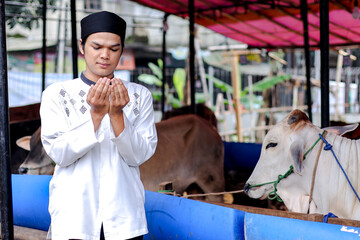 Asian Muslim Man Praying Showing Gratitude To God In Cow Farm. Concept Of Eid Al Adha Festival.