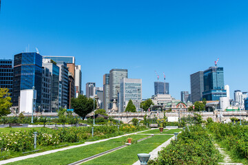 Nakanoshima Rose Garden and Osaka cityscape with Skyline and office building and downtown of Osaka city, Japan