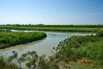 fiume reno