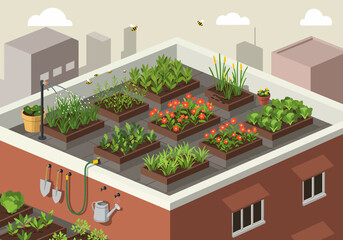 Rooftop Garden with Vegetable and Flower Growing