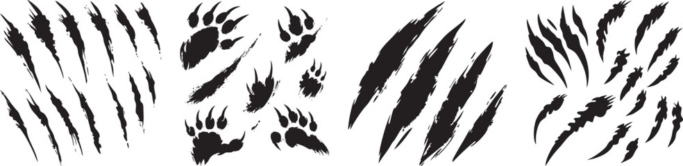 Claw Marks and Paw Prints Vector Set, Isolated on White Background.