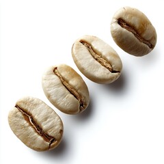 CDジャケット　3000ｘ3000