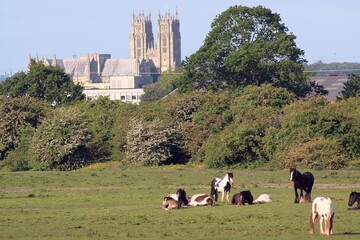 Beverley Minster from across Swinemoor Common.