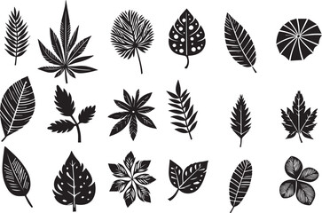 Tree top view, leaf icon set, plant illustration set for architectural design. Tree top view vector collection features diverse tree and leaf sketches for landscape planning, botanical art vector eps