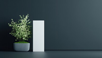 Fototapeta premium Minimalist scene grey pot with small flowering plant beside tall white rectangle against dark wall