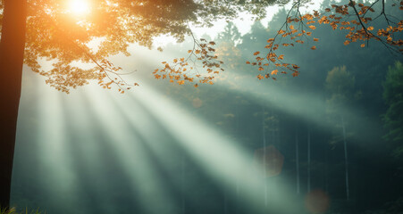 Silent Forest in spring with beautiful bright sun rays