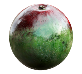 A green and red fruit with a stem