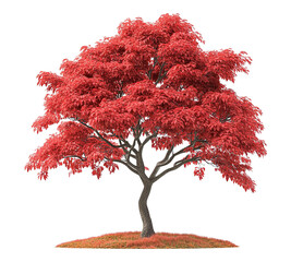 A large red tree stands alone on a white background