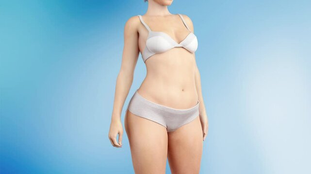 Woman getting fat and gaining weight, junk food and overeating leading to obesity, excess fat, from slim figure to overweight figure, 3D animation.	