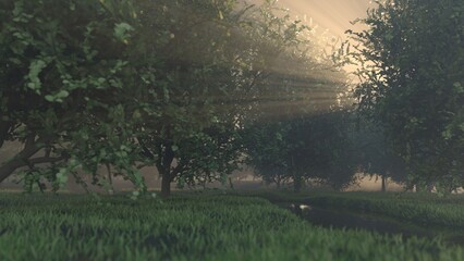 Sunbeams shining through misty forest trees with lush grass and stream