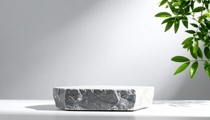 Background featuring a rock stone podium with plant shadows cast on a gray wall,