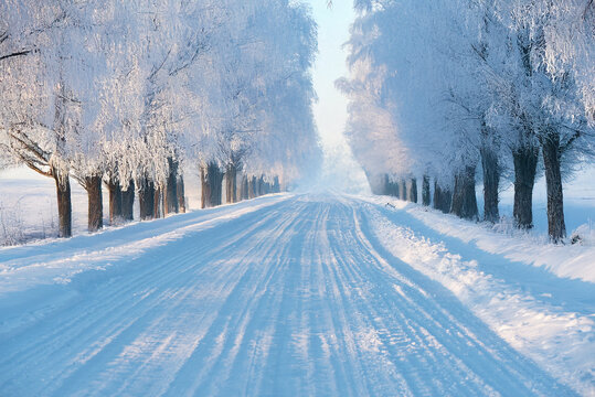 A narrow snowy road flanked by frost-covered trees glows in the soft light of a winter morning, disappearing into mist ahead.