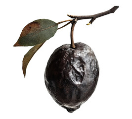 A rotten lemon is on a white background