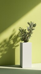 Silver-leaved plant in a minimalist white cube pot, bathed in sunlight against a muted yellow-green wall, casting a long shadow