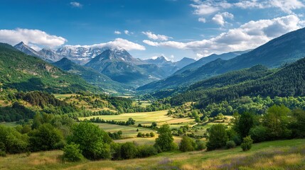 Obraz premium Beautiful summer landscapes, sunny green meadows below the mountains, dense forests and blue skies. High-quality, detailed, high-resolution views.