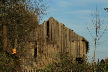 Old wooden hut or barn. Abandoned wooden barn near forest 
