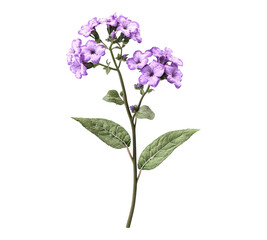 Obraz premium A purple flower with green leaves