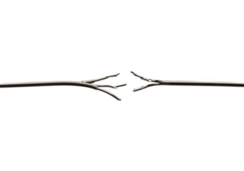 Surgical forceps isolated on transparent background, a medical instrument