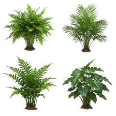Fototapeta premium Set of indoor plants isolated on transparent background