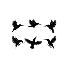 Set of bird crow vector art illustration