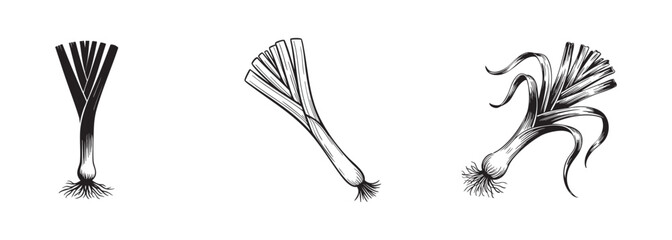 set of leek icons, allium vegetable vector, healthy cooking and agricultural produce
