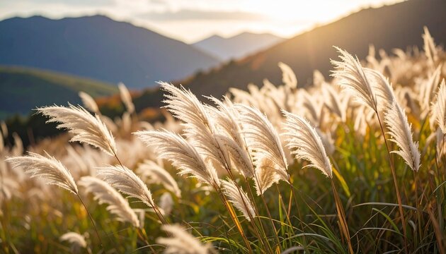 秋風」の写真素材 | 4,539件の無料イラスト画像 | Adobe Stock