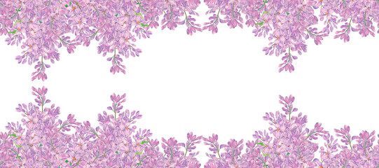 Lilac watercolor flowers sprigs. Template with copy space isolated on white. Spring syringa seamless frame, border. Purple blossom of summertime. Botanical floral background. Clipart for design. © Margarita