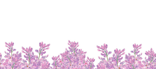 Obraz premium Lilac watercolor flowers sprigs. Template with copy space isolated on white. Spring syringa seamless frame, border. Purple blossom of summertime. Botanical floral background. Clipart for design.