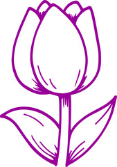 tulip flower vector transparent background 