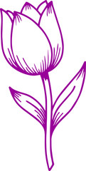 tulip flower vector transparent background 