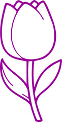 tulip flower outline colourful vector transparent 