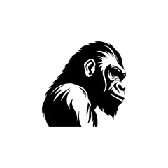 vector illustration gorilla 5