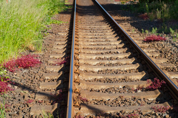 Rusty train tracks disappearing into distance on sunny day