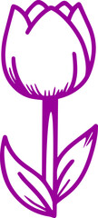 beautiful colourful tulip flower outline icon 