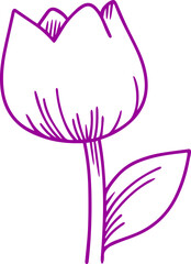 tulip flower vector icon 