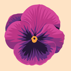 A vibrant purple pansy flower with dark center details, shown on a soft beige background