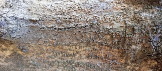 Old Textured Cave Wall Surface
