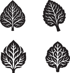 Black and White Stylized Leaf Illustrations with Intricate Veins