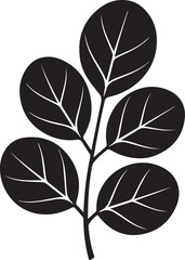 Moringa Leaf Silhouette Black Vector | Herbal, Organic & Botanic Illustration
