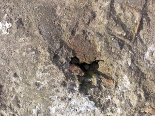 Rough Weathered Stone with Small Crevice Detail