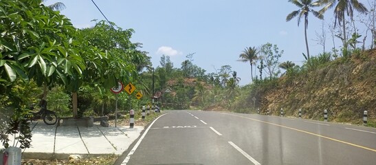 Rural Road Winding Through Lush Greenery