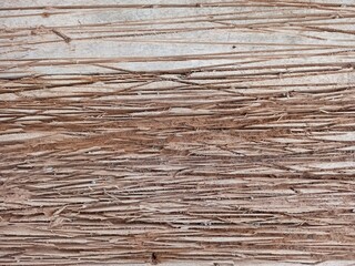 Textured Dry Coconut Leaf Fiber Close-up