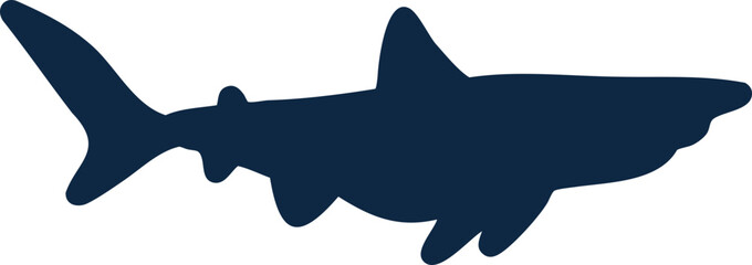 상어, 실루엣, 바다, 어류, 검정, 물고기, animal, 돌고래, 대양, 물속, 네이처, 포유동물, 야생 동물, 수영, 프레데터