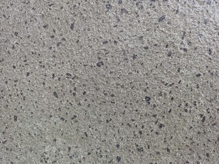 Volcanic Andesite Rock Texture with Dark Inclusions
