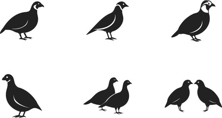 Fototapeta premium A Collection of Six Stylized Black Silhouettes of Chukar Birds Arranged in Two Rows Against a White Background, Featuring Various Poses Including Standing Upright, set of silhouettes of birds