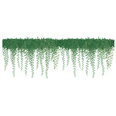 Hanging Bushy Green Foliage with Vines on Transparent Background