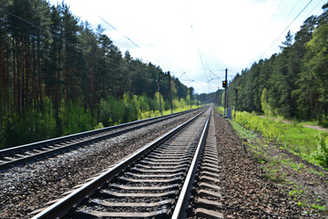 Railway Tracks Through a Forest in a sunny day with a traffic lights