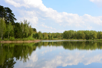 Serene lake scene reflecting trees and sky under a clear sky wallpaper