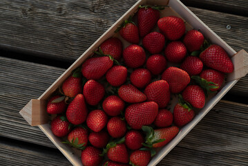 Red background of ripe strawberries. Close up, top view.